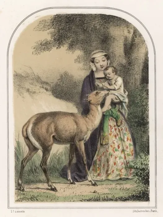 Framed Print : Genevieve Saved by Deer Framed Print : Genevieve Saved by Deer