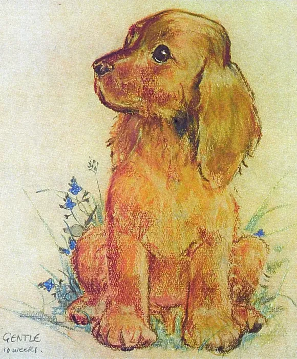 Framed Print : Gentle, a puppy, by Muriel Dawson Framed Print : Gentle, a puppy, by Muriel Dawson