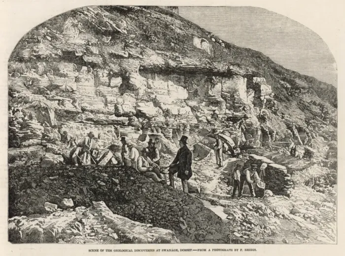 Framed Print : Geologists at Swanage