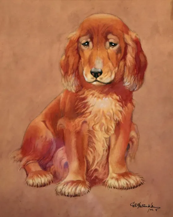 Framed Print : George Ernest Studdy, Irish setter puppy