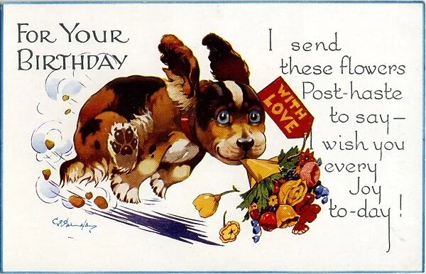 George Studdy Birthday card