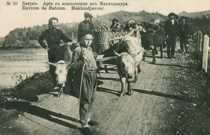 Framed Print : Georgia - Batumi - Farmers Framed Print : Georgia - Batumi - Farmers