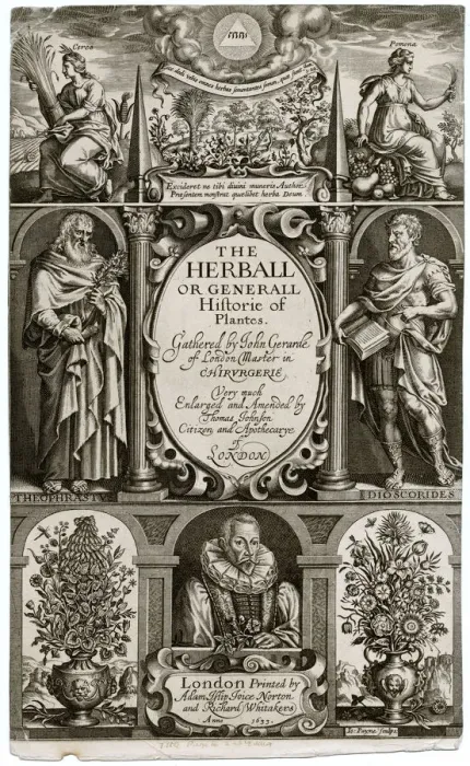 Framed Print : Gerards Herbal Framed Print : Gerards Herbal