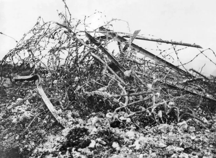 Framed Print : German barbed wire, Western Front, France, WW1 Framed Print : German barbed wire, Western Front, France, WW1