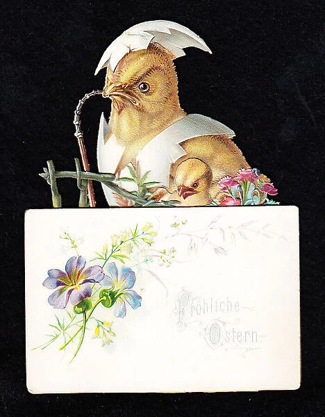 German Easter card with chicks and eggshells