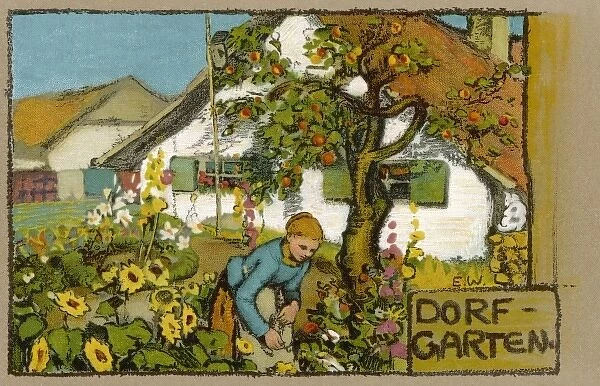 German Garden C1910. A lady tends her cottage garden in a German village