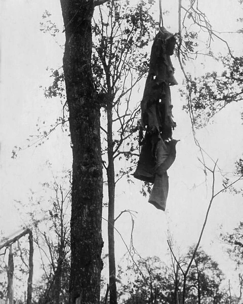 German overcoat hanging from tree, Western Front, WW1