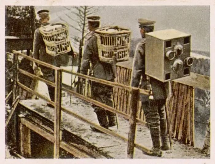 Framed Print : German Pigeon Post 1915 Framed Print : German Pigeon Post 1915