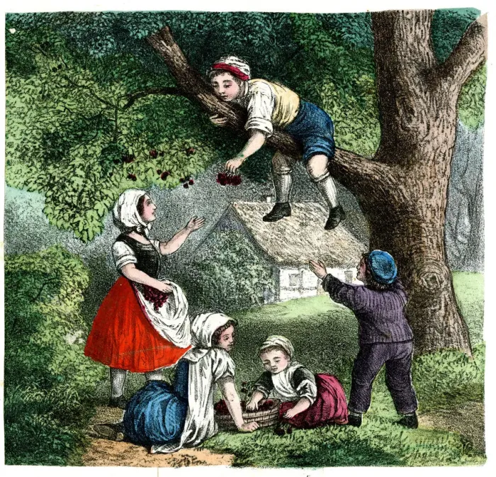 Framed Print : German print - Four Seasons - Summer Framed Print : German print - Four Seasons - Summer