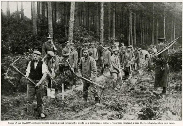 Framed Print : German prisoners making a road in southern England 1917 Framed Print : German prisoners making a road in southern England 1917