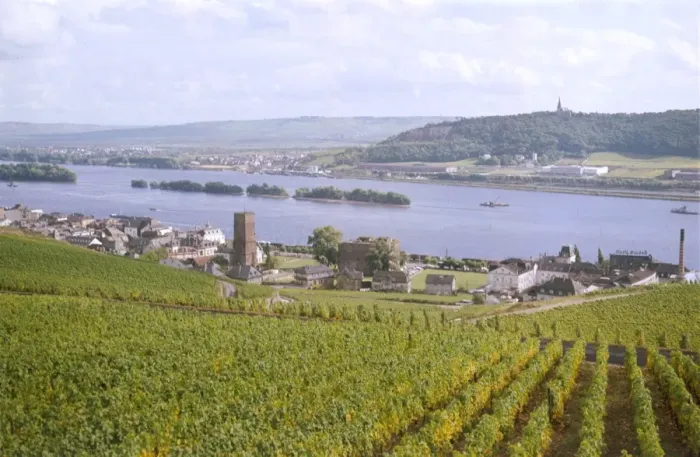 Framed Print : Germany / Rudesheim Framed Print : Germany / Rudesheim