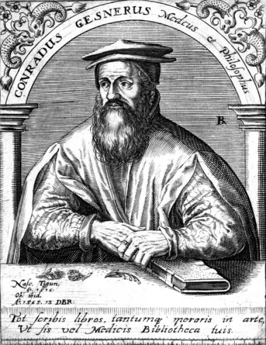 Framed Print : GESNER (1516 - 1565) Framed Print : GESNER (1516 - 1565)