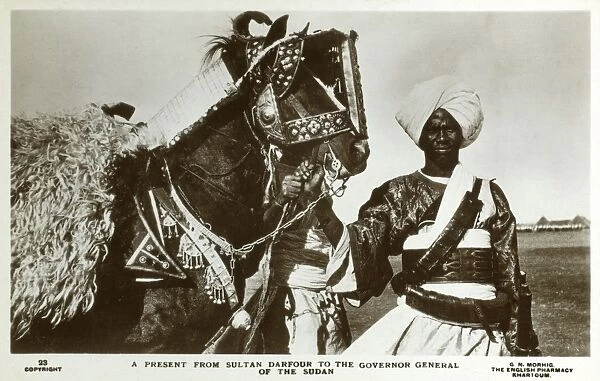 Gift from Sultan of darfur