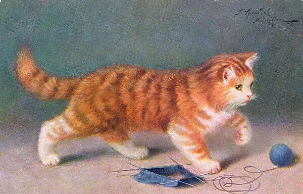 Ginger cat with knitting on a postcard