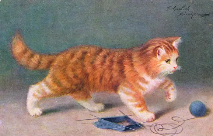 Framed Print : Ginger cat with knitting on a postcard Framed Print : Ginger cat with knitting on a postcard