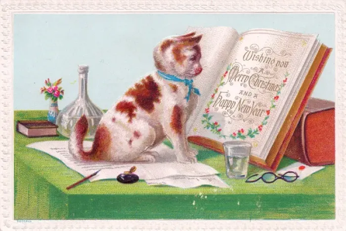Framed Print : Ginger and white cat on a Christmas card Framed Print : Ginger and white cat on a Christmas card