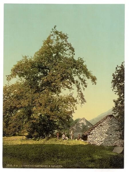 Giornico, peasants hut, St. Gotthard Railway, Switzerland