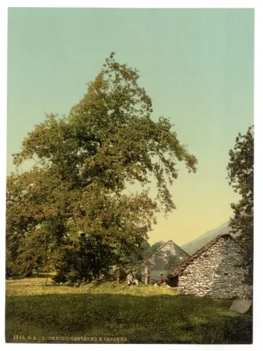 Framed Print : Giornico, peasants hut, St. Gotthard Railway, Switzerland Framed Print : Giornico, peasants hut, St. Gotthard Railway, Switzerland