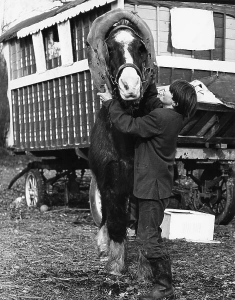 Gipsy Boy & Horse 1973