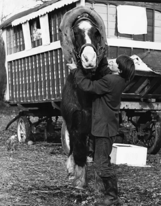 Framed Print : Gipsy Boy & Horse 1973 Framed Print : Gipsy Boy & Horse 1973