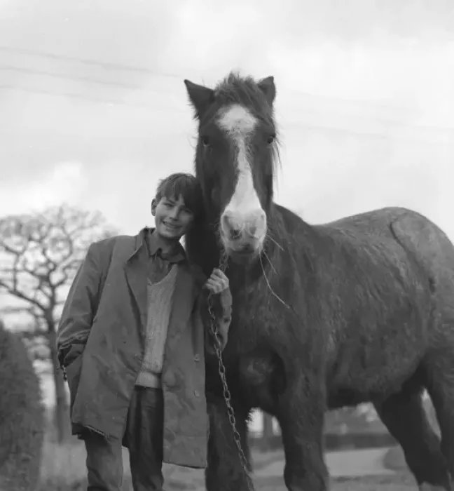 Framed Print : Gipsy boy with his horse Framed Print : Gipsy boy with his horse