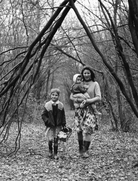 Framed Print : Gipsy family walking through a wood, Surrey Framed Print : Gipsy family walking through a wood, Surrey