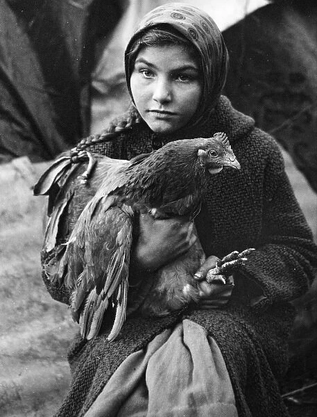 Gipsy girl holding a chicken, Charlwood, Surrey