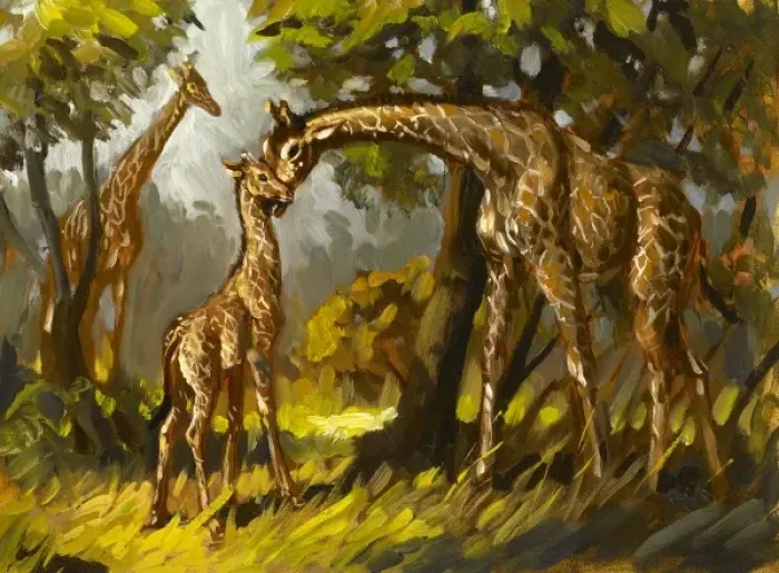 Framed Print : Giraffes. A family of giraffes. A baby with its mother Framed Print : Giraffes. A family of giraffes. A baby with its mother