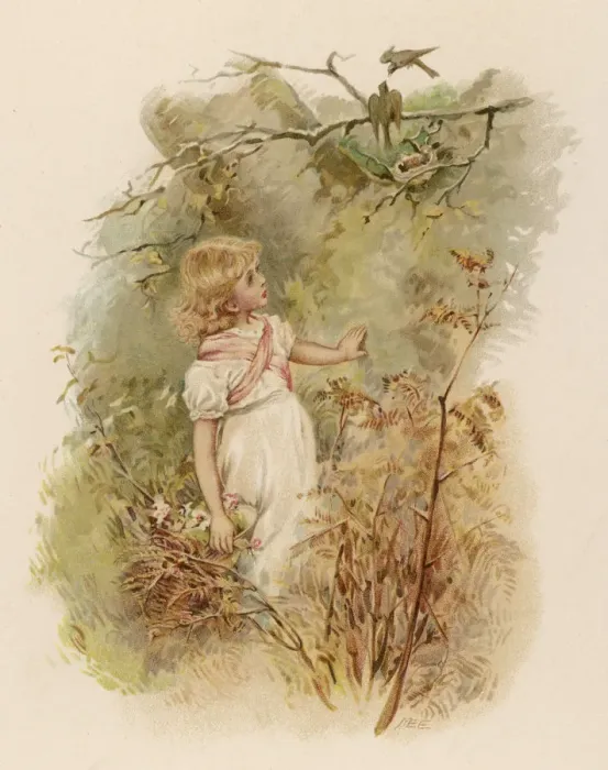 Framed Print : GIRL ADMIRES NEST 1891 Framed Print : GIRL ADMIRES NEST 1891