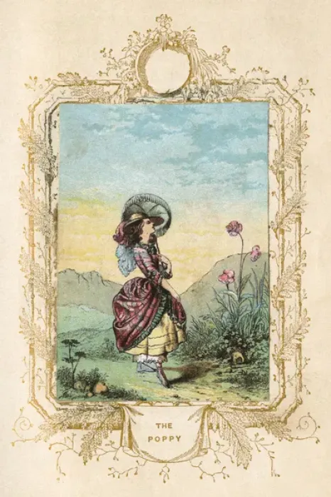 Framed Print : Girl admiring a poppy Framed Print : Girl admiring a poppy