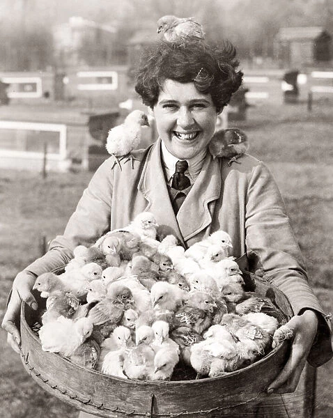 Girl with a basket full of Easter chicks, 1930 s