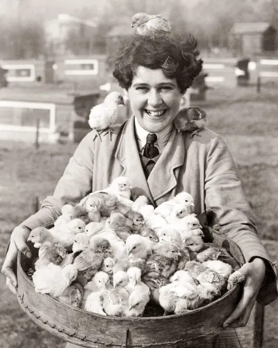 Framed Print : Girl with a basket full of Easter chicks, 1930 s Framed Print : Girl with a basket full of Easter chicks, 1930 s