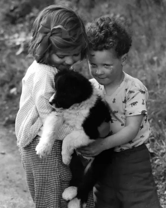 Framed Print : Girl and boy with puppy Framed Print : Girl and boy with puppy