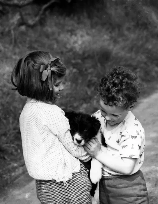 Framed Print : Girl and boy with puppy Framed Print : Girl and boy with puppy