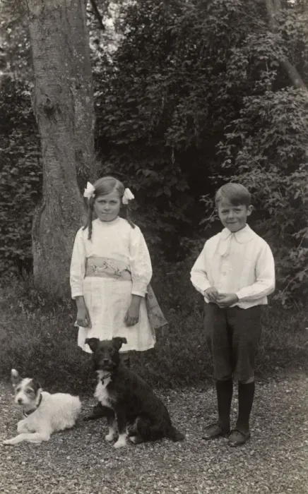 Framed Print : Girl and boy with two terrier dogs in a garden Framed Print : Girl and boy with two terrier dogs in a garden