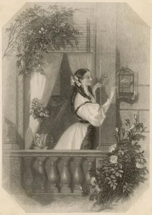 Framed Print : Girl and Caged Canary Framed Print : Girl and Caged Canary