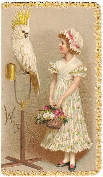 Girl with cockatoo on a greetings card
