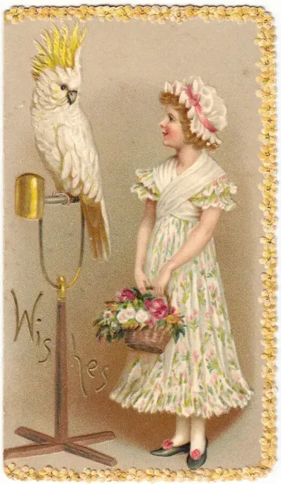 Framed Print : Girl with cockatoo on a greetings card Framed Print : Girl with cockatoo on a greetings card
