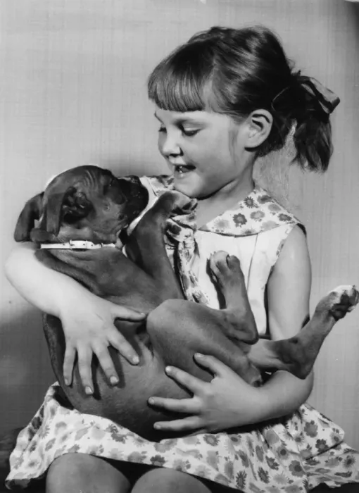 Framed Print : Girl cradling a puppy on her lap Framed Print : Girl cradling a puppy on her lap