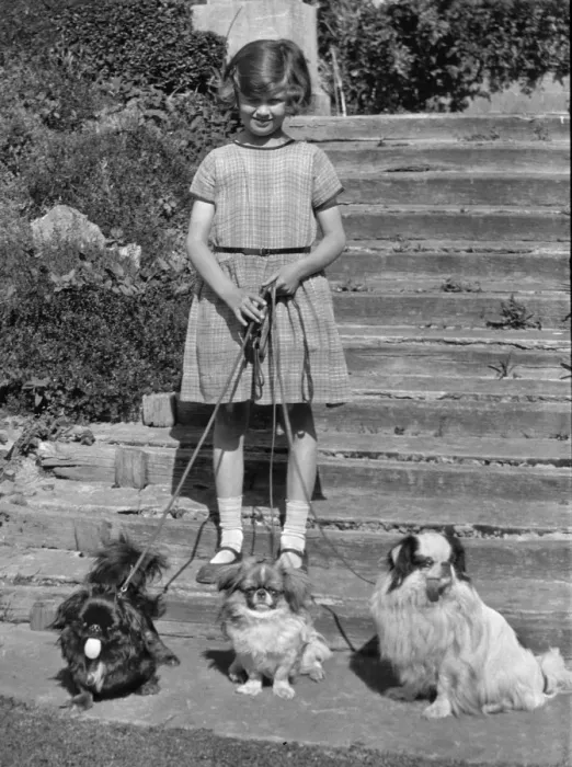 Framed Print : Girl with three dogs in a garden Framed Print : Girl with three dogs in a garden