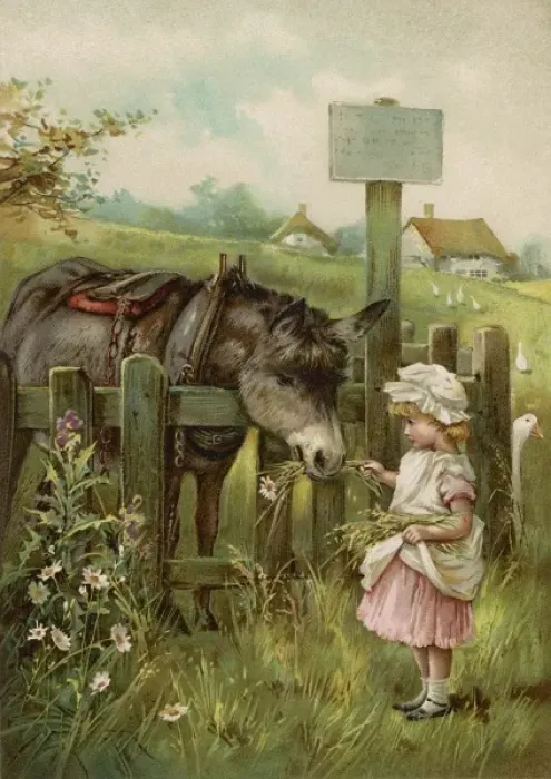 Framed Print : Girl Feeds Donkey C1890 Framed Print : Girl Feeds Donkey C1890