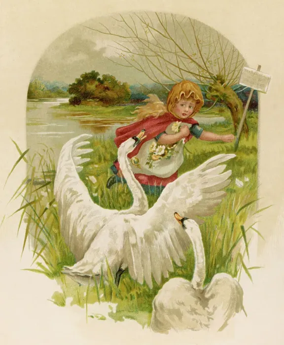 Framed Print : Girl Flees Swans Framed Print : Girl Flees Swans