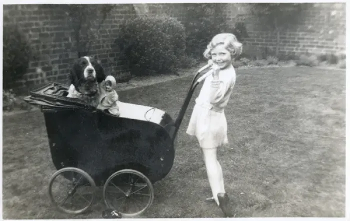 Framed Print : Girl in a garden with dog and doll in pram Framed Print : Girl in a garden with dog and doll in pram