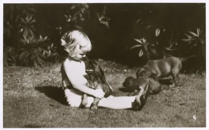 Framed Print : Girl in a garden with Irish Setter puppies Framed Print : Girl in a garden with Irish Setter puppies