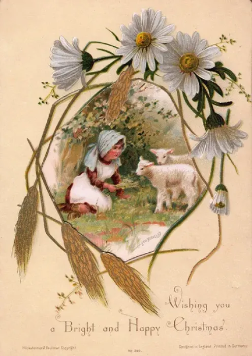 Framed Print : Girl with lambs on a Christmas card Framed Print : Girl with lambs on a Christmas card