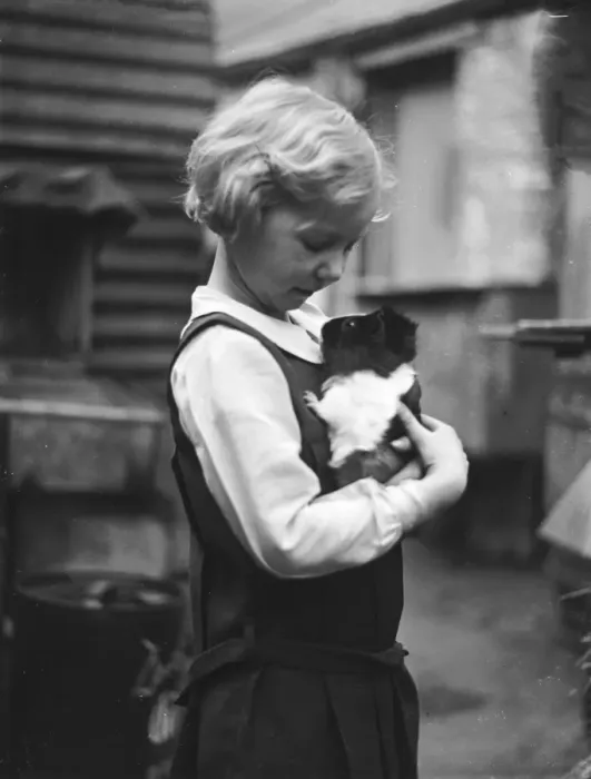 Framed Print : Girl and Pet Guinea Pig - 2 Framed Print : Girl and Pet Guinea Pig - 2