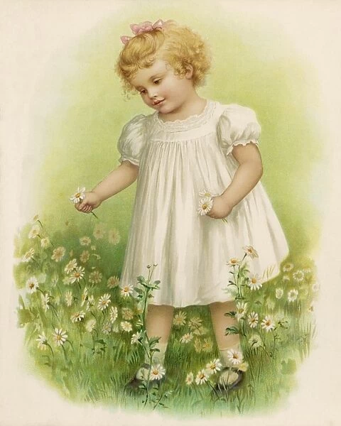 Girl Picks Daisies 1890