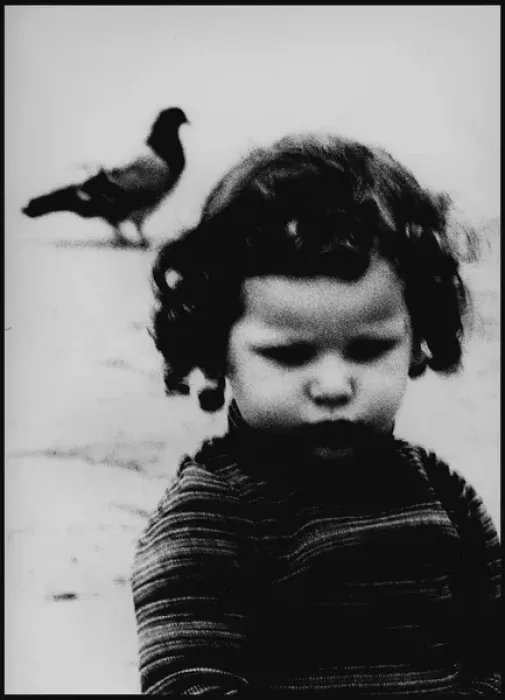 Framed Print : Girl and pigeon Forence. Italy Framed Print : Girl and pigeon Forence. Italy