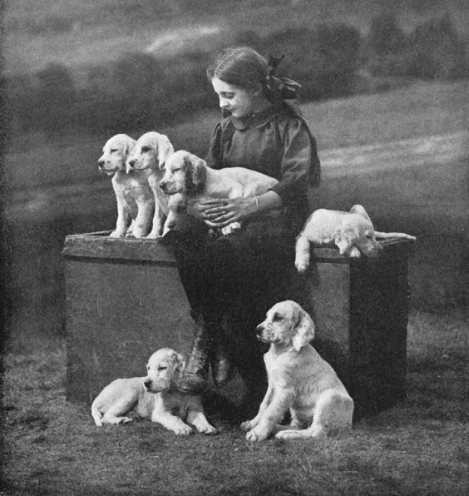 Framed Print : Girl with puppies Framed Print : Girl with puppies
