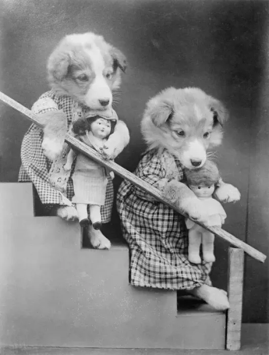 Framed Print : Girl Puppies and Dolls Framed Print : Girl Puppies and Dolls